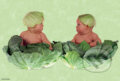 Puzzle: Kapustové deti (Anne Geddes). Schmidt Puzzle: Kapustové deti (Anne Geddes). Schmidt