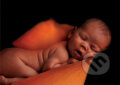 Puzzle: Jay (Anne Geddes). Schmidt Puzzle: Jay (Anne Geddes). Schmidt
