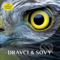 Kniha: Dravci a sovy (Klub čtenářů). Klub čtenářů, 2019 Kniha: Dravci a sovy (Klub čtenářů). Klub čtenářů, 2019