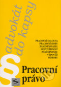 Kniha: Pracovní právo (Pavel Petr). Institut vzdělávání Sokrates, 2005 Kniha: Pracovní právo (Pavel Petr). Institut vzdělávání Sokrates, 2005