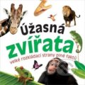 Kniha: Úžasná zvířata (Bookmedia). Bookmedia, 2018 Kniha: Úžasná zvířata (Bookmedia). Bookmedia, 2018