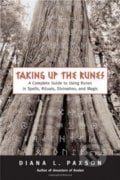Taking Up the Runes - Diana L. Paxson, Red wheel, 2005