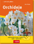Orchideje - Jörn Pinske, Rebo, 2012