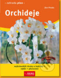Kniha: Orchideje (Jörn Pinske). Rebo, 2012 Kniha: Orchideje (Jörn Pinske). Rebo, 2012