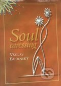 Kniha: Hlazení duše (Václav Budinský). Agentura Lucie, 2011 Kniha: Hlazení duše (Václav Budinský). Agentura Lucie, 2011