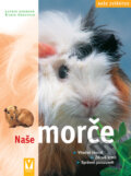 Kniha: Naše morče (Katrin Behrend a kolektiv). Vašut, 2006 Kniha: Naše morče (Katrin Behrend a kolektiv). Vašut, 2006