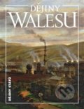 Kniha: Dějiny Walesu (Blanka Říchová). Nakladatelství Lidové noviny, 2020 Kniha: Dějiny Walesu (Blanka Říchová). Nakladatelství Lidové noviny, 2020