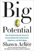 Kniha: Big Potential (Shawn Achor). Taschen, 2018 Kniha: Big Potential (Shawn Achor). Taschen, 2018