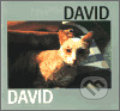 Kniha: David (Jiří David). Kant, 2002 Kniha: David (Jiří David). Kant, 2002