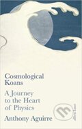 Kniha: Cosmological Koans (Anthony Aguirre). Allen Lane, 2019 Kniha: Cosmological Koans (Anthony Aguirre). Allen Lane, 2019