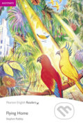 Kniha: Flying Home (Stephen Rabley). Pearson, 2008 Kniha: Flying Home (Stephen Rabley). Pearson, 2008