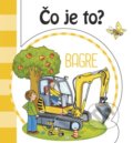 Kniha: Čo je to? Bagre (INFOA). INFOA, 2019 Kniha: Čo je to? Bagre (INFOA). INFOA, 2019