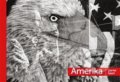 Kniha: Amerika (Daniel Šperl). Daniel Šperl, 2019 Kniha: Amerika (Daniel Šperl). Daniel Šperl, 2019