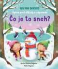Kniha: Čo je to sneh?, 2019 Kniha: Čo je to sneh?, 2019