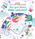 Kniha: Are you there little unicorn (Sam Taplin). Usborne, 2019 Kniha: Are you there little unicorn (Sam Taplin). Usborne, 2019