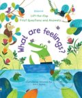 Kniha: What are feelings? (Katie Daynes). Usborne, 2019 Kniha: What are feelings? (Katie Daynes). Usborne, 2019