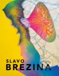 Kniha: Slavo Brezina - monografia (Ľubomír Podušel). FO ART, 2019 Kniha: Slavo Brezina - monografia (Ľubomír Podušel). FO ART, 2019