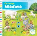 Kniha: Čo sa deje–Mláďatá (Svojtka&Co.). Svojtka&Co., 2018 Kniha: Čo sa deje–Mláďatá (Svojtka&Co.). Svojtka&Co., 2018
