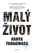 E-kniha: Malý život (Hanya Yanagihara), 2019 E-kniha: Malý život (Hanya Yanagihara), 2019