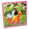 Společenská hra: Hra: Koťátka (Mikrohračky). Mikrohračky, 2018 Společenská hra: Hra: Koťátka (Mikrohračky). Mikrohračky, 2018
