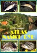 Kniha: Atlas našich rýb (Otto Pospíšil). Cesty, 2001 Kniha: Atlas našich rýb (Otto Pospíšil). Cesty, 2001