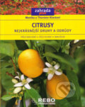 Kniha: Citrusy (Monika Klock a Thorsten Klock). Rebo, 2004 Kniha: Citrusy (Monika Klock a Thorsten Klock). Rebo, 2004