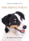 Kniha: Moudrost zvířat (Virginia Morell). XYZ, 2020 Kniha: Moudrost zvířat (Virginia Morell). XYZ, 2020