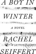 A Boy in Winter - Rachel Seiffert, Pantheon Books, 2017