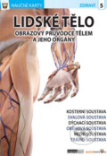 Kniha: Naučné karty: Lidské tělo 1 (Computer Media). Computer Media, 2016 Kniha: Naučné karty: Lidské tělo 1 (Computer Media). Computer Media, 2016