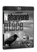 Film: Nabarvené ptáče (Václav Marhoul) (Blu-ray), 2020 Film: Nabarvené ptáče (Václav Marhoul) (Blu-ray), 2020