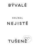 Kniha: Bývalé nejisté tušené (Adam Budak Adam, Dieter Bogner Dieter, Kolíbal Stanislav a Stanislav Kolíbal). Galerie Miroslava Kubíka, 2020 Kniha: Bývalé nejisté tušené (Adam Budak Adam, Dieter Bogner Dieter, Kolíbal Stanislav a Stanislav Kolíbal). Galerie Miroslava Kubíka, 2020