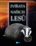 Kniha: Zvířata našich lesů (Andrea Pinnington a Caz Buckingham). Edika, 2020 Kniha: Zvířata našich lesů (Andrea Pinnington a Caz Buckingham). Edika, 2020