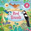 Bird Sounds - Sam Taplin, Federica Iossa (ilustrácie), Usborne, 2020