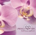 Kniha: Phalaenopis (Gabriela Šípková). iTutorial, 2020 Kniha: Phalaenopis (Gabriela Šípková). iTutorial, 2020