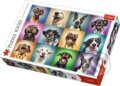 Puzzle: Funny dogs (Trefl). Trefl, 2020 Puzzle: Funny dogs (Trefl). Trefl, 2020