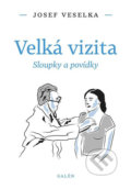 Kniha: Velká vizita (Josef Veselka). Galén, 2020 Kniha: Velká vizita (Josef Veselka). Galén, 2020