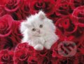 Mačka v ružiach, Clementoni