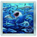 Puzzle: Magnetické 3D puzzle: Žraloci (Piatnik). Piatnik, 2020 Puzzle: Magnetické 3D puzzle: Žraloci (Piatnik). Piatnik, 2020