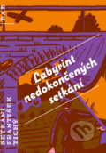 Kniha: Labyrint nedokončených setkání (František Tichý). Baobab, 2020 Kniha: Labyrint nedokončených setkání (František Tichý). Baobab, 2020