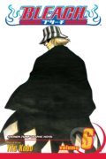 Kniha: Bleach 6, 2005 Kniha: Bleach 6, 2005