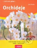 Kniha: Orchideje (Jörn Pinske). Rebo, 2002 Kniha: Orchideje (Jörn Pinske). Rebo, 2002