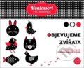 Kniha: Objevujeme zvířata (Chiara Piroddi). Drobek, 2021 Kniha: Objevujeme zvířata (Chiara Piroddi). Drobek, 2021