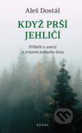 Kniha: Když prší jehličí (Aleš Dostál). Brána, 2021 Kniha: Když prší jehličí (Aleš Dostál). Brána, 2021