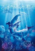 Puzzle: Dolphin Symphony (Clementoni). Clementoni Puzzle: Dolphin Symphony (Clementoni). Clementoni