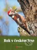 Kniha: Rok v českém lese (Julius Klejdus). CPRESS, 2021 Kniha: Rok v českém lese (Julius Klejdus). CPRESS, 2021