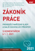 Kniha: Zákoník práce (Dana Roučková, Eva Hofmannová, Jan Vácha, Ludmila Tomandlová, Pavla Hloušková, Petr Schweiner a Zdeněk Schmied). ANAG, 2021 Kniha: Zákoník práce (Dana Roučková, Eva Hofmannová, Jan Vácha, Ludmila Tomandlová, Pavla Hloušková, Petr Schweiner a Zdeněk Schmied). ANAG, 2021
