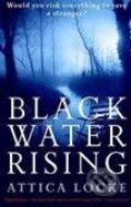 Kniha: Black Water Rising (Attica Locke). Profile Books, 2010 Kniha: Black Water Rising (Attica Locke). Profile Books, 2010