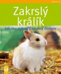 Kniha: Zakrslý králík (Gabriele Linke-Grün). Vašut, 2010 Kniha: Zakrslý králík (Gabriele Linke-Grün). Vašut, 2010