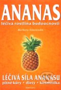 Ananas - Barbara Simonsohn, Fontána, 2010