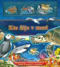 Kniha: Kto žije v mori (Fortuna Junior). Fortuna Junior Kniha: Kto žije v mori (Fortuna Junior). Fortuna Junior